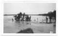 Photograph: [Trinity River Flood]