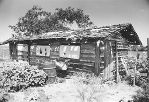 Primary view of object titled 'Log Cabin on Haltom Estate'.