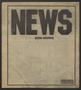 Primary view of Public News (Houston, Tex.), No. 22, Ed. 1 Wednesday, July 28, 1982