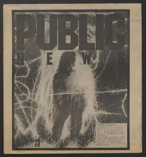 Primary view of object titled 'Public News (Houston, Tex.), No. 23, Ed. 1 Wednesday, August 4, 1982'.