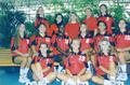 Thumbnail image of item number 1 in: 'Volleyball team'.
