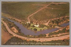 Primary view of object titled '[Postcard of Palo Verde Groves]'.
