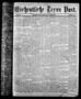 Primary view of Wöchentliche Texas Post. (Galveston, Tex.), Vol. 7, No. 41, Ed. 1 Thursday, August 3, 1876