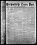 Primary view of Wöchentliche Texas Post. (Galveston, Tex.), Vol. 7, No. 43, Ed. 1 Thursday, August 17, 1876