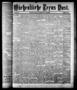 Newspaper: Wöchentliche Texas Post. (Galveston, Tex.), Vol. 8, No. 32, Ed. 1 Thu…