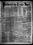 Newspaper: Wöchentliche Texas Post. (Galveston, Tex.), Vol. 2, No. 24, Ed. 1 Sun…