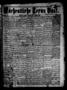 Newspaper: Wöchentliche Texas Post. (Galveston, Tex.), Vol. 2, No. 49, Ed. 1 Sun…