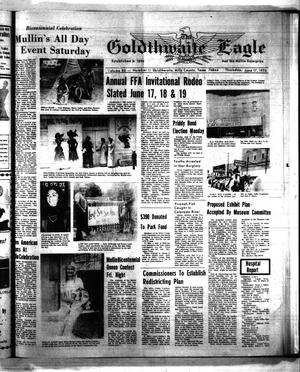 Primary view of The Goldthwaite Eagle (Goldthwaite, Tex.), Vol. 80, No. 11, Ed. 1 Thursday, June 17, 1976