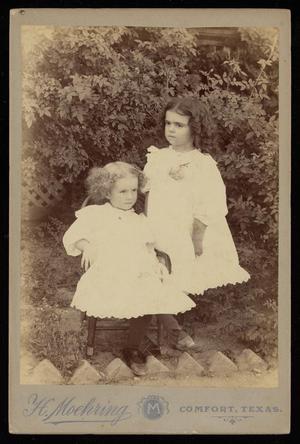 Primary view of object titled '[Portrait of Two Unidentified Girls]'.