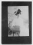 Thumbnail image of item number 1 in: 'Woman Seated in Curved Chair'.
