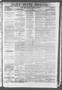 Thumbnail image of item number 1 in: 'Daily State Journal. (Austin, Tex.), Vol. 2, No. 95, Ed. 1 Wednesday, May 17, 1871'.