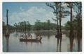 Primary view of [Postcard of Caddo Lake with Four People in a Motot Boat among the Trees]