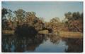 Primary view of [Postcard of Devil's Elbow, Big Cypress Bayou, Caddo Lake]