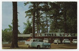 Primary view of object titled '[Big Pines Lodge, on Caddo Lake, near Karnack, Texas]'.
