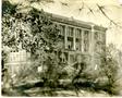 Primary view of [College of Marshall Main Building Viewed through Tree Branches]