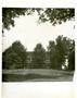 Photograph: [College of Marshall Main Building and Grounds, 1930s]