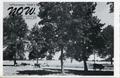 Thumbnail image of item number 1 in: 'LeTourneau Tech's NOW, Volume 9, Number 11, June 1, 1955'.