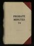 Book: Travis County Probate Records: Probate Minutes 74
