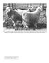 Thumbnail image of item number 3 in: 'Oral History Interview with Jack L. Groff, October 12, 2000, Supplement'.