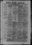 Primary view of Daily State Journal. (Austin, Tex.), Vol. 1, No. 186, Ed. 1 Sunday, September 4, 1870