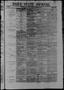Primary view of Daily State Journal. (Austin, Tex.), Vol. 1, No. 232, Ed. 1 Friday, October 28, 1870