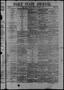 Primary view of Daily State Journal. (Austin, Tex.), Vol. 1, No. 237, Ed. 1 Thursday, November 3, 1870