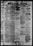 Newspaper: Daily State Journal. (Austin, Tex.), Vol. 4, No. 19, Ed. 1 Friday, Fe…