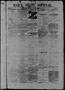 Primary view of Daily State Journal. (Austin, Tex.), Vol. 4, No. 41, Ed. 1 Wednesday, March 19, 1873