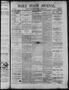 Primary view of Daily State Journal. (Austin, Tex.), Vol. 1, No. 39, Ed. 1 Tuesday, March 15, 1870
