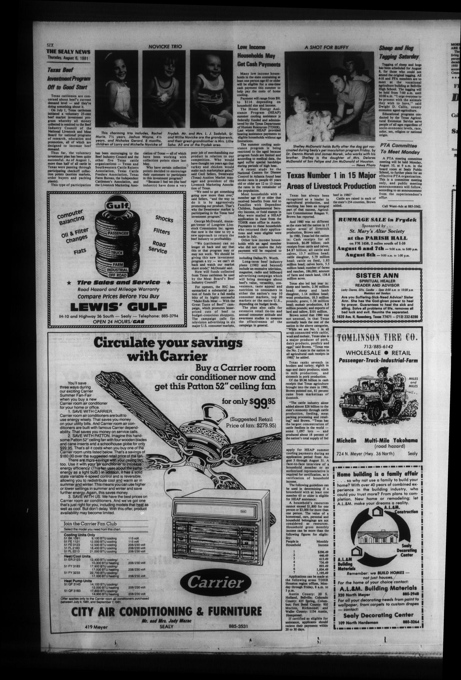 The Sealy News (Sealy, Tex.), Vol. 94, No. 20, Ed. 1 Thursday, August 6, 1981
                                                
                                                    [Sequence #]: 6 of 20
                                                