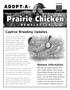 Journal/Magazine/Newsletter: Adopt-A-Prairie Chicken Newsletter, Fall 2008