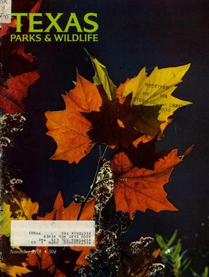 Primary view of Texas Parks & Wildlife, Volume 36, Number 11, November 1978