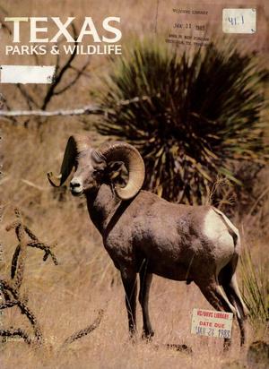 Primary view of object titled 'Texas Parks & Wildlife, Volume 41, Number 1, January 1983'.