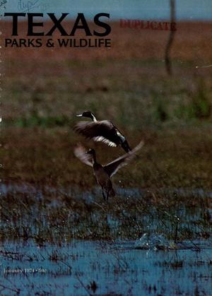 Primary view of object titled 'Texas Parks & Wildlife, Volume 32, Number 1, January 1974'.