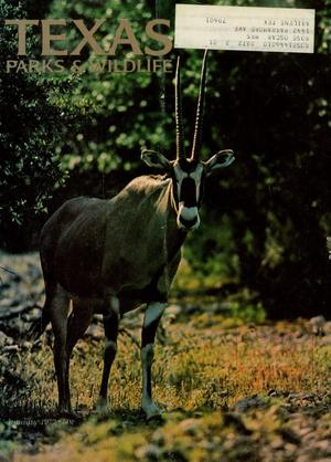 Primary view of object titled 'Texas Parks & Wildlife, Volume 30, Number 1, January 1972'.