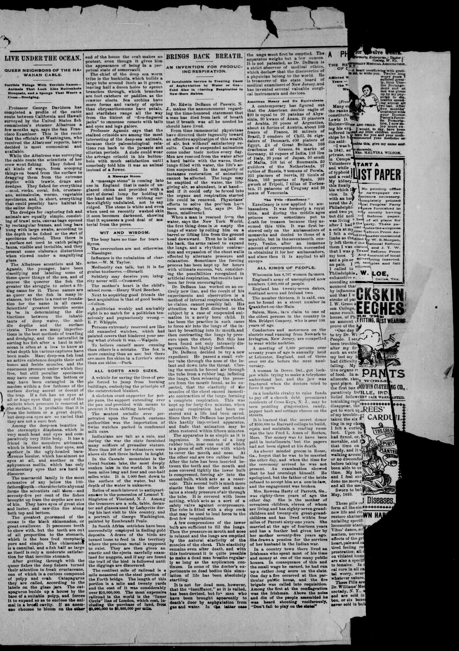 Wise County Messenger. (Decatur, Tex.), No. 455, Ed. 1 Friday, December 29, 1893
                                                
                                                    [Sequence #]: 3 of 8
                                                
