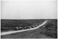 Photograph: Texas Sesquicentennial Wagon Train on the Way from Whiteflat to Matad…