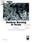 Pamphlet: Outdoor Burning in Texas Revised August 2008