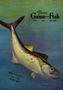 Journal/Magazine/Newsletter: Texas Game and Fish, Volume 11, Number 7, June 1953
