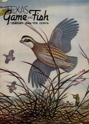 Primary view of object titled 'Texas Game and Fish, Volume 4, Number 2, January 1946'.