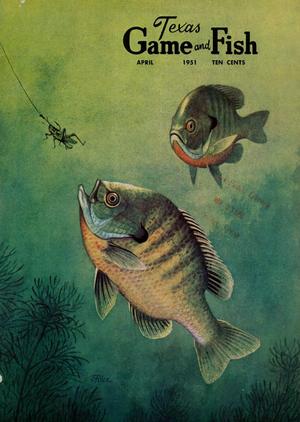 Primary view of object titled 'Texas Game and Fish, Volume 9, Number 5, April 1951'.
