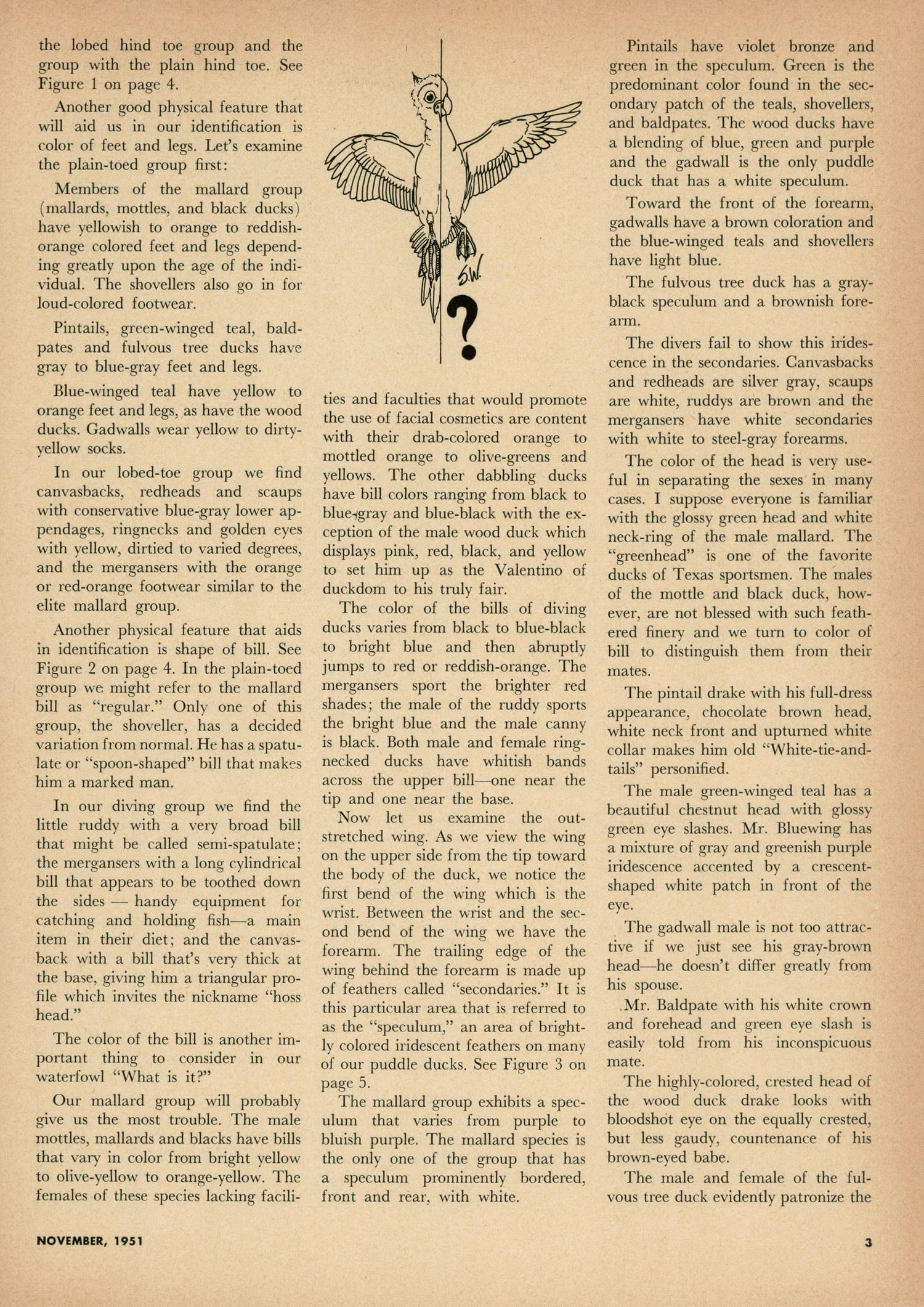 Texas Game and Fish, Volume 9, Number 12, November 1951
                                                
                                                    3
                                                