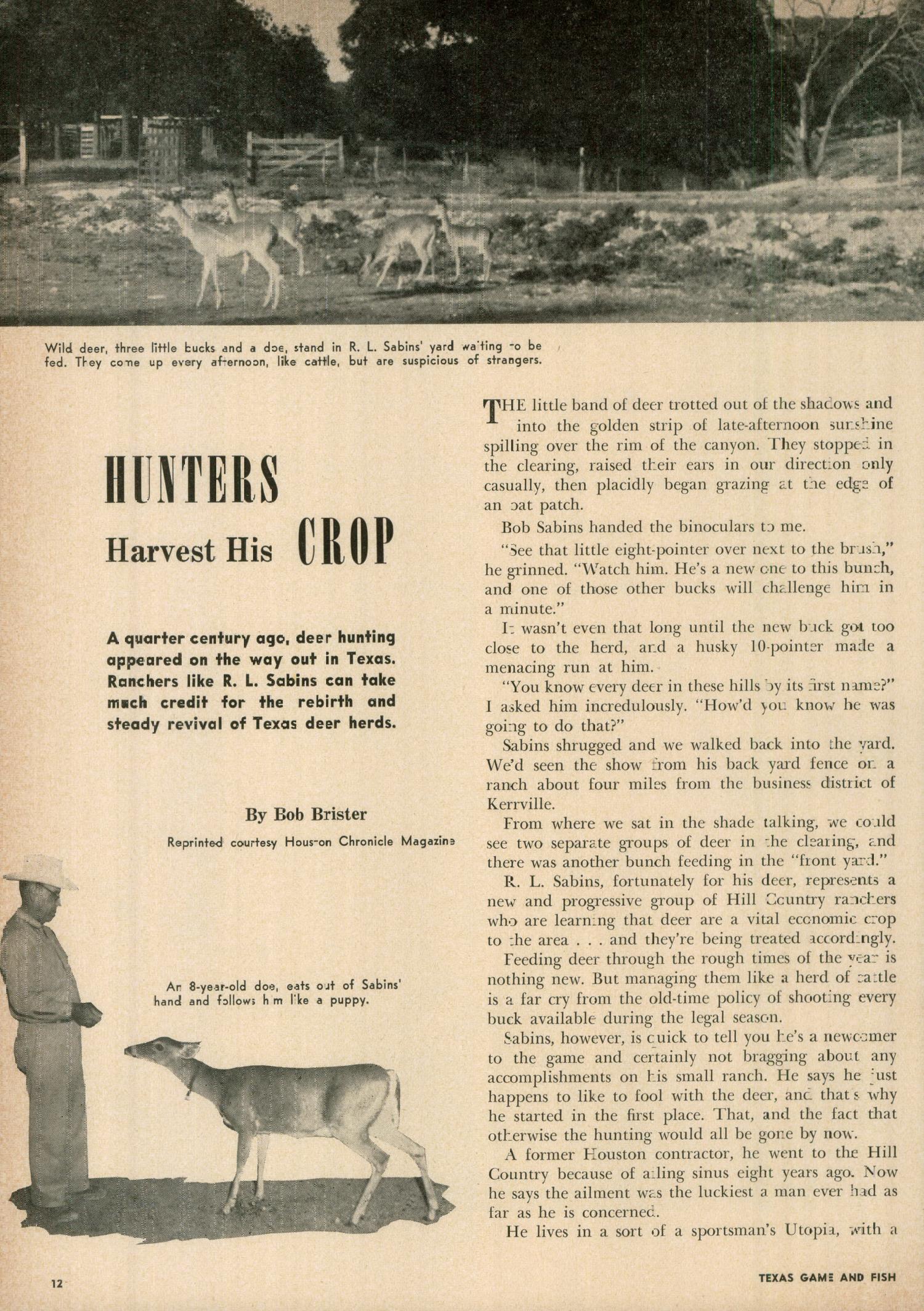 Texas Game and Fish, Volume 13, Number 4, April 1955
                                                
                                                    12
                                                