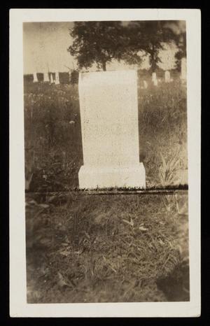Primary view of object titled '[Headstone and grave of Brown family member]'.