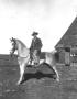 Photograph: [Louis Kruger on horse]
