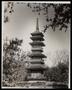 Primary view of [Botanic Garden Pagoda]