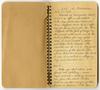 Thumbnail image of item number 2 in: '[Elizabeth M. Moxley Diary]'.