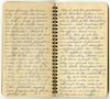 Thumbnail image of item number 3 in: '[Elizabeth M. Moxley Diary]'.
