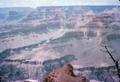 Photograph: [Blurred View of the Grand Canyon]