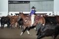 Photograph: Cutting Horse Competition: Image 1997_D-1_30